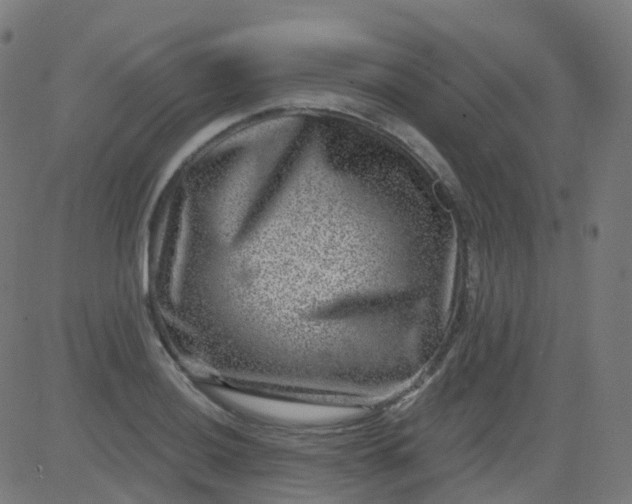 X0000082761036200702091948