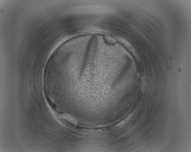 X0000082761039200702091948