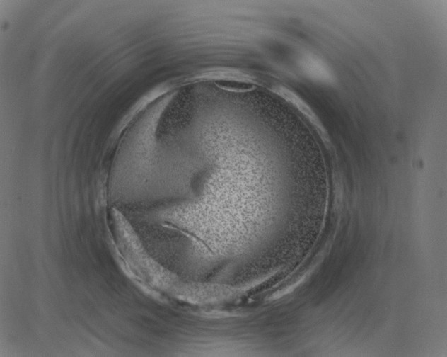 X0000082761049200702091948