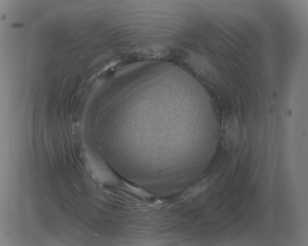 X0000082761058200702091948