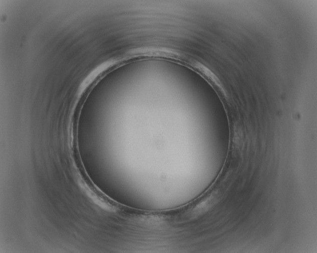 X0000082761082200702091947