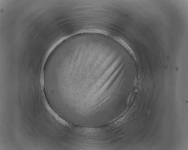 X0000082761084200702091947