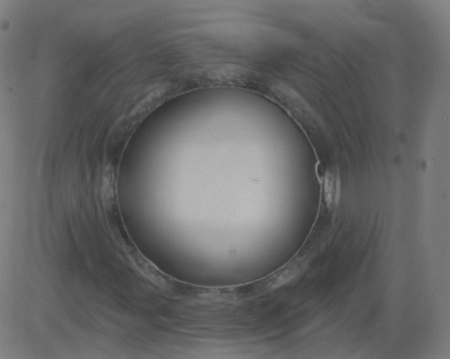 X0000082761107200702091946