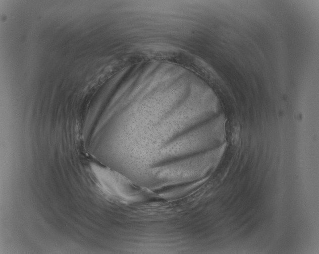 X0000082761108200702091946