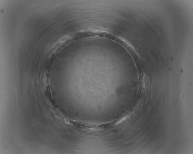 X0000082761110200702091946