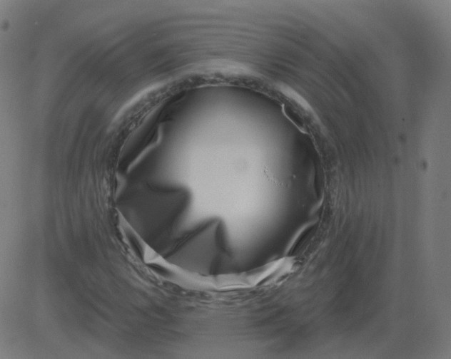 X0000082761112200702091946