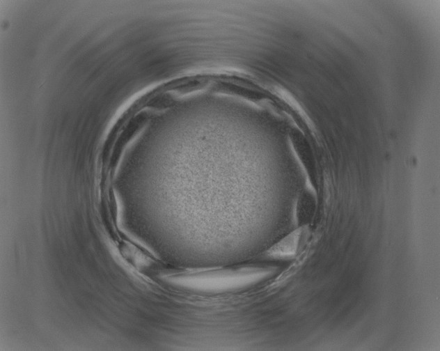 X0000082761124200702091947