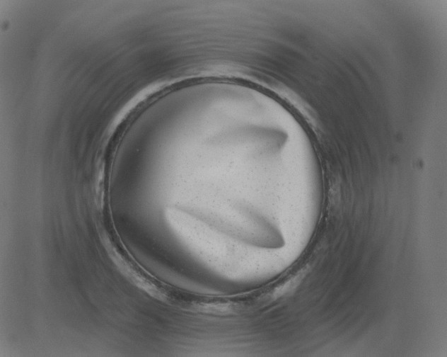 X0000082761126200702091947