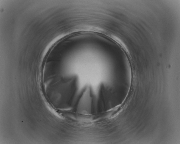 X0000082761136200702091947