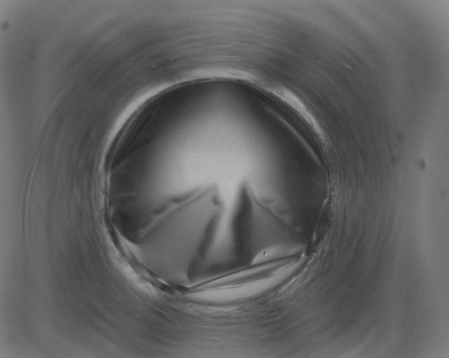 X0000082761140200702091947