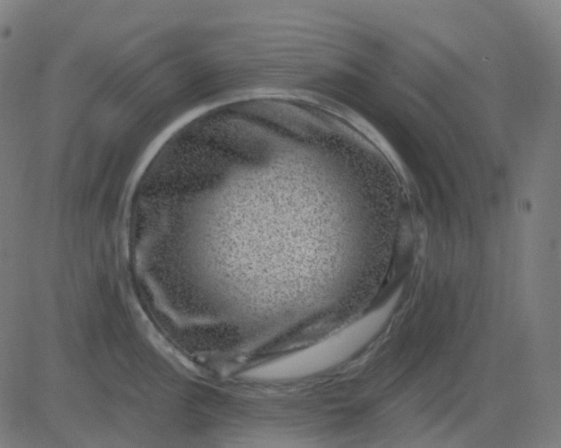 X0000082761148200702091947