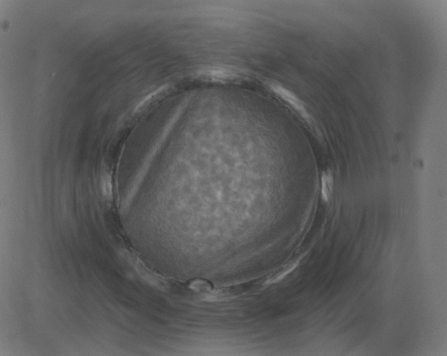 X0000082761155200702091946