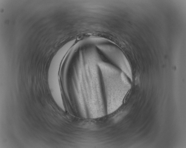X0000082761156200702091946