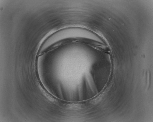 X0000082761181200702091946