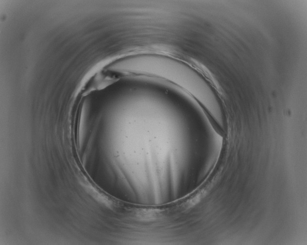 X0000082761184200702091946