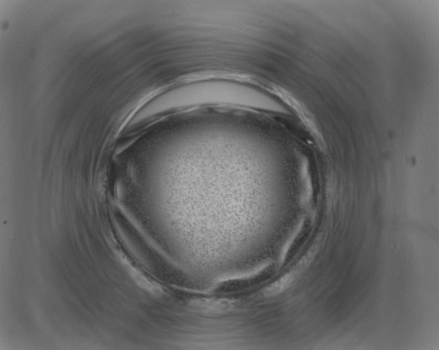 X0000082761185200702091946