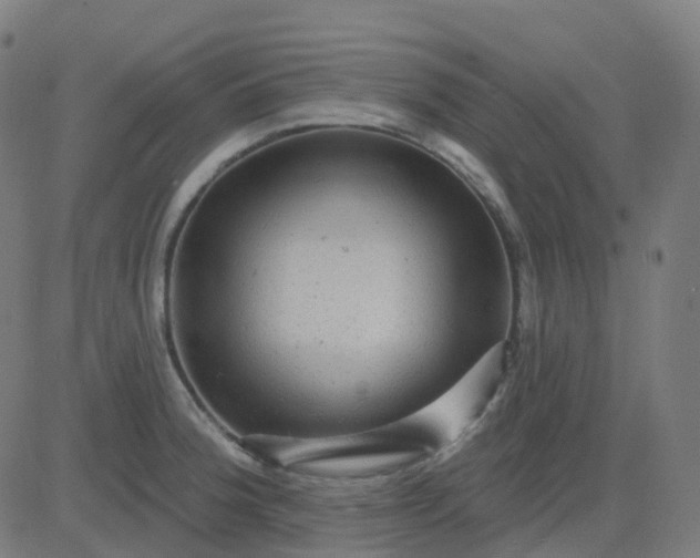 X0000082761188200702091946