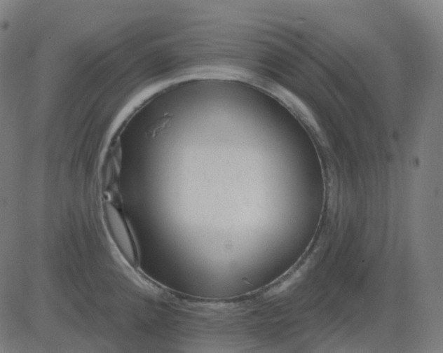 X0000082761192200702091946