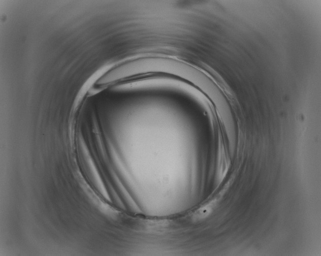X0000082761196200702091945