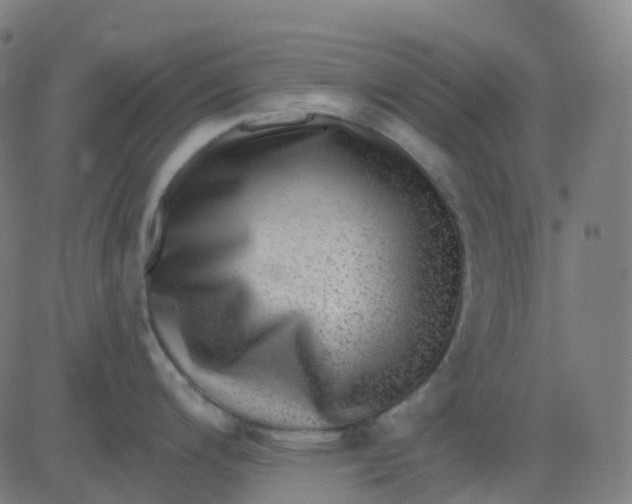 X0000082761200200702091945