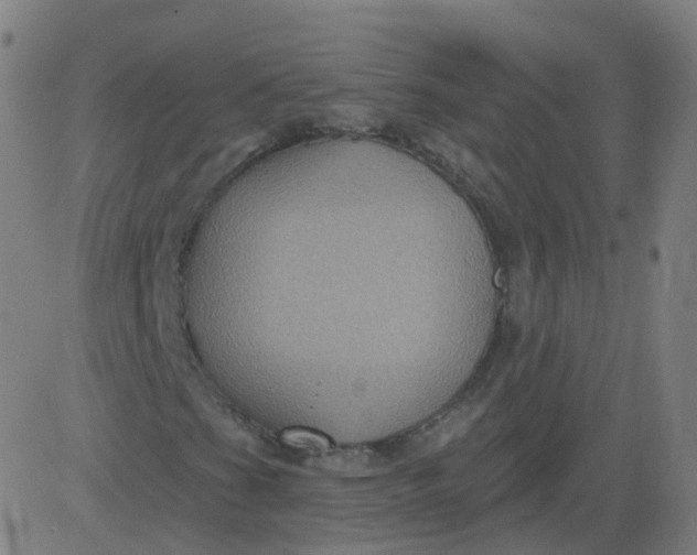 X0000082761201200702091945