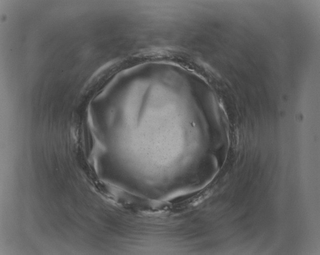 X0000082761206200702091945
