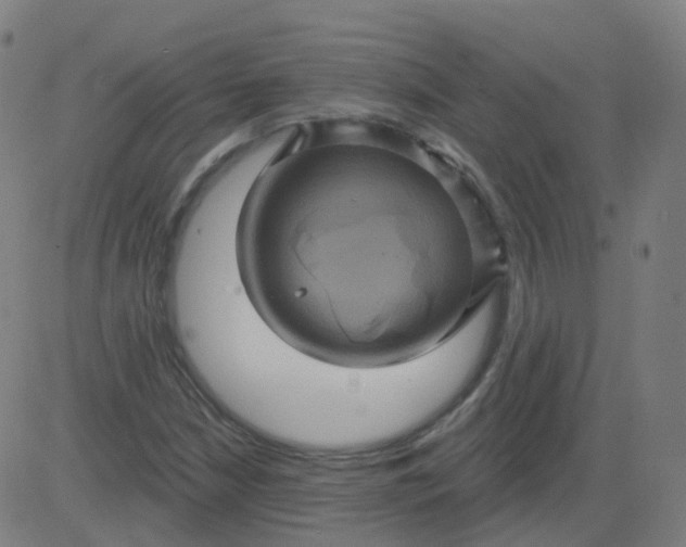 X0000082761210200702091945