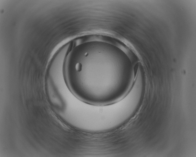 X0000082761230200702091945