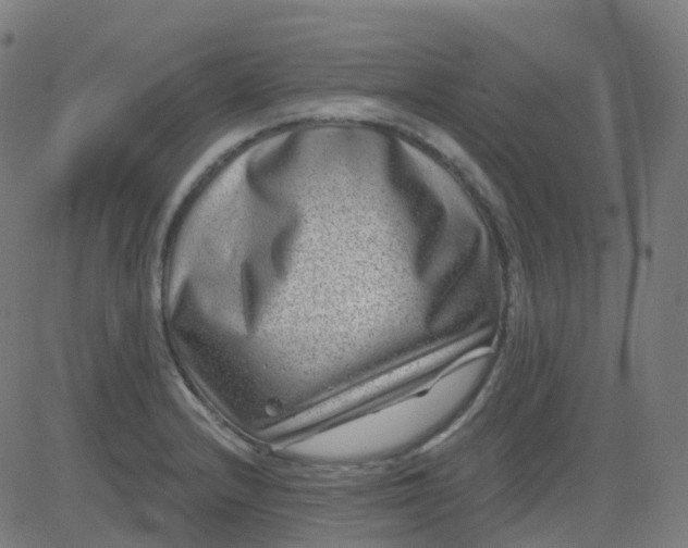 X0000082761232200702091945