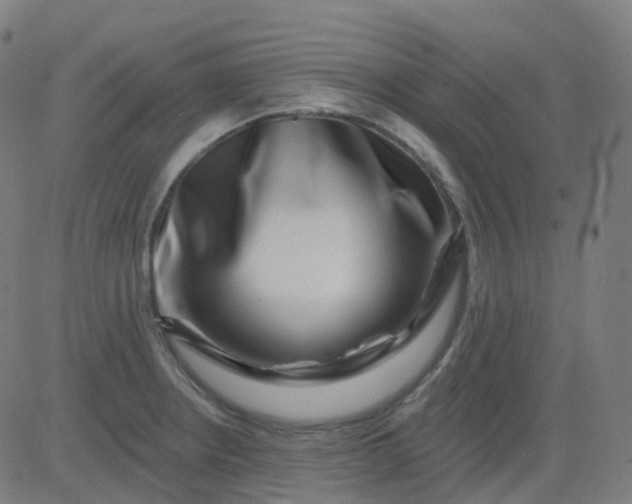 X0000082761234200702091945