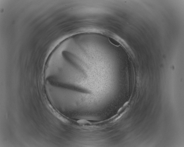 X0000082761236200702091945