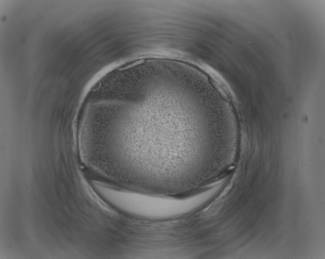 X0000082761238200702091945