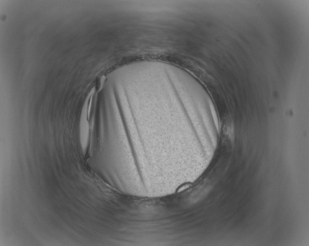 X0000082761252200702091945