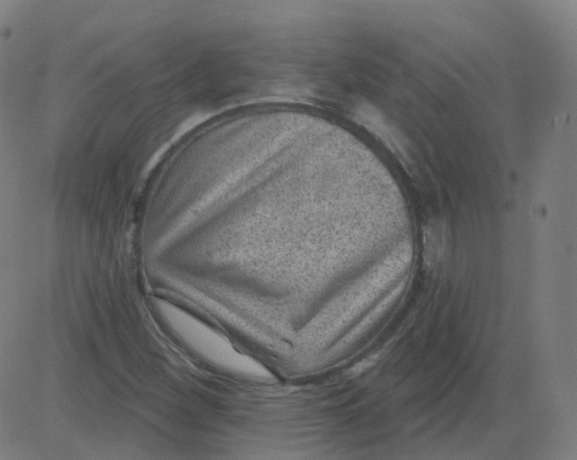 X0000082761260200702091944