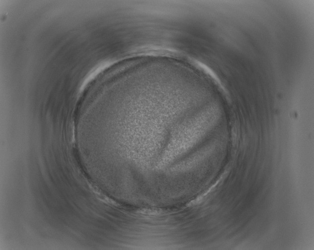X0000082761267200702091944
