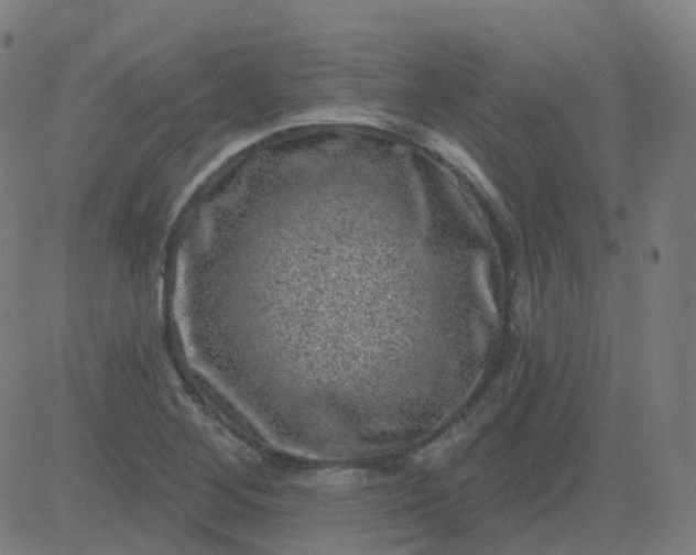 X0000082761268200702091944