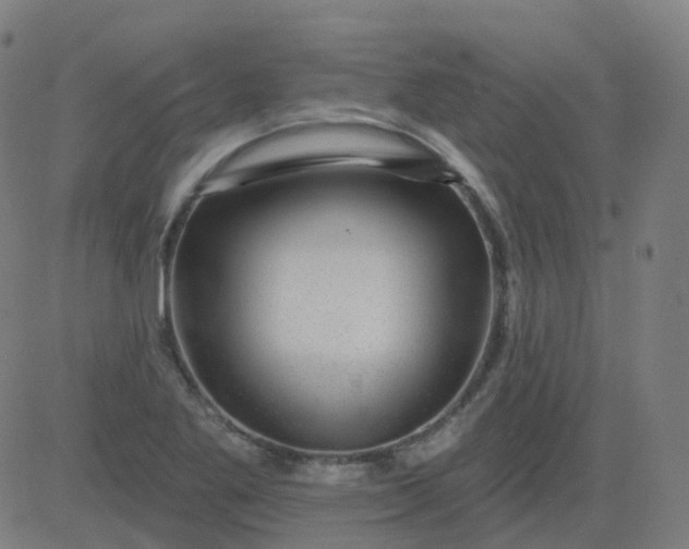 X0000082761269200702091944