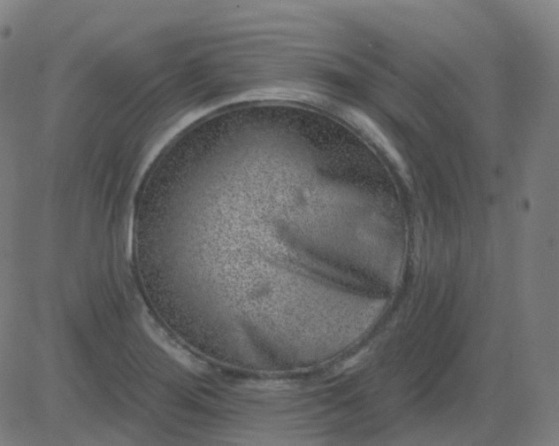 X0000082761276200702091944