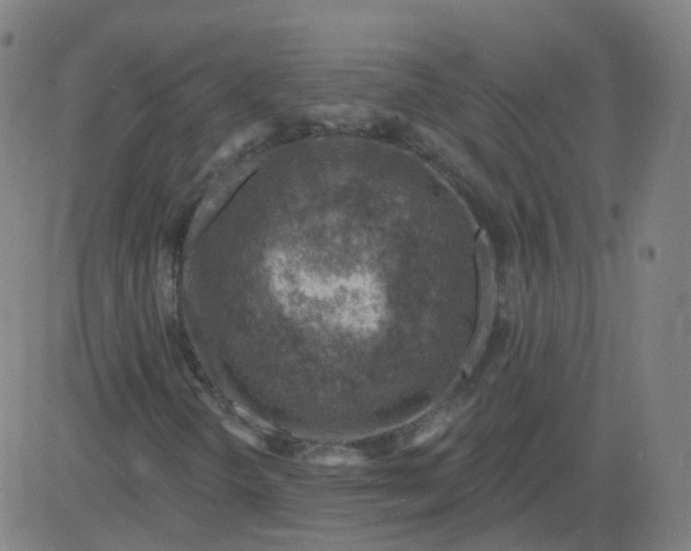 X0000082761298200702091943