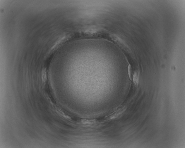 X0000082761299200702091943