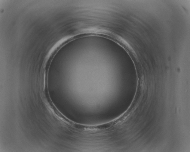 X0000082761323200702091944