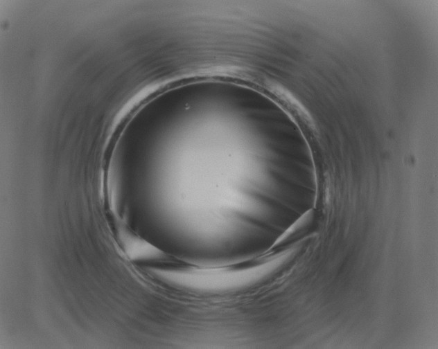 X0000082761324200702091944
