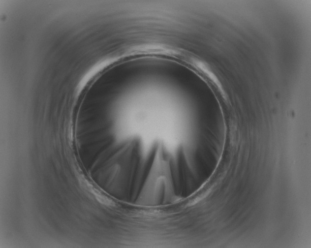 X0000082761328200702091944