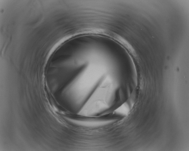 X0000082761332200702091944