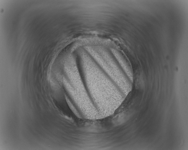 X0000082761345200702091943