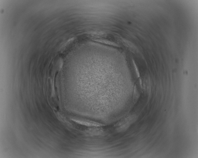 X0000082761346200702091943