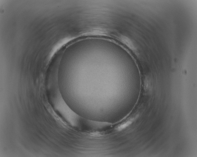 X0000082761356200702091943