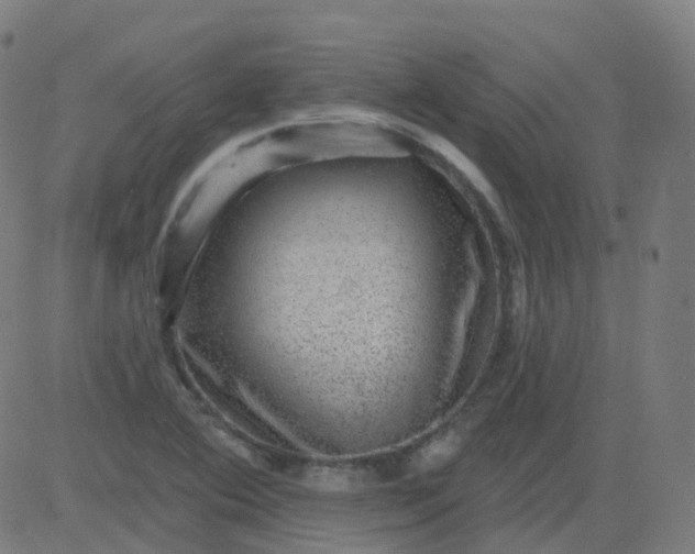 X0000082761364200702091943