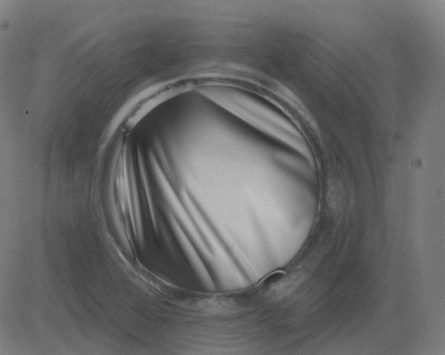 X0000082761368200702091943