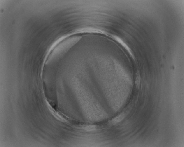 X0000082761372200702091943